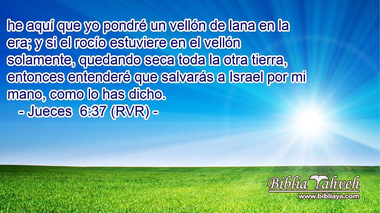 he aquí que yo pondré un vellón de lana en la era; y si el rocío estuviere en el vellón solamente, quedando seca toda la otra tierra, entonces entenderé que salvarás a Israel por mi mano, como lo has dicho.