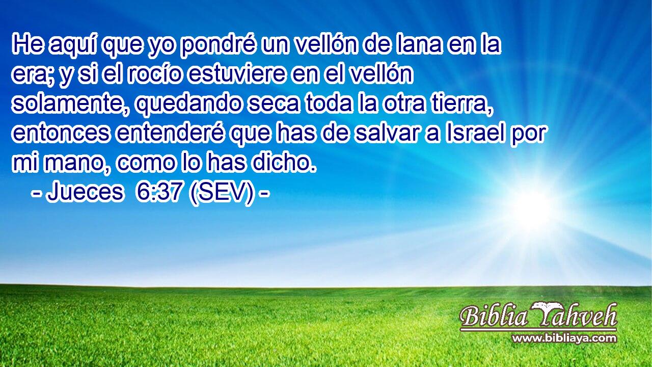 He aquí que yo pondré un vellón de lana en la era; y si el rocío estuviere en el vellón solamente, quedando seca toda la otra tierra, entonces entenderé que has de salvar a Israel por mi mano, como lo has dicho.