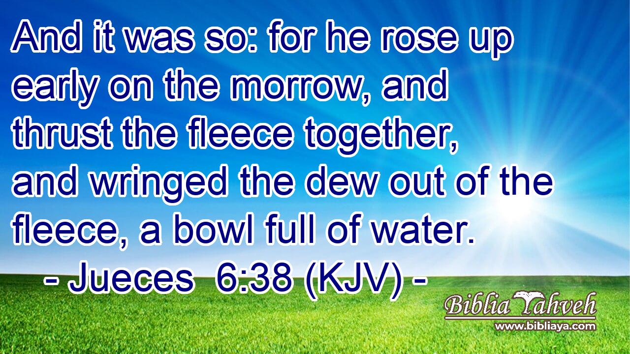 And it was so: for he rose up early on the morrow, and thrust the fleece together, and wringed the dew out of the fleece, a bowl full of water.