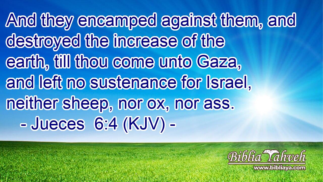 And they encamped against them, and destroyed the increase of the earth, till thou come unto Gaza, and left no sustenance for Israel, neither sheep, nor ox, nor ass.