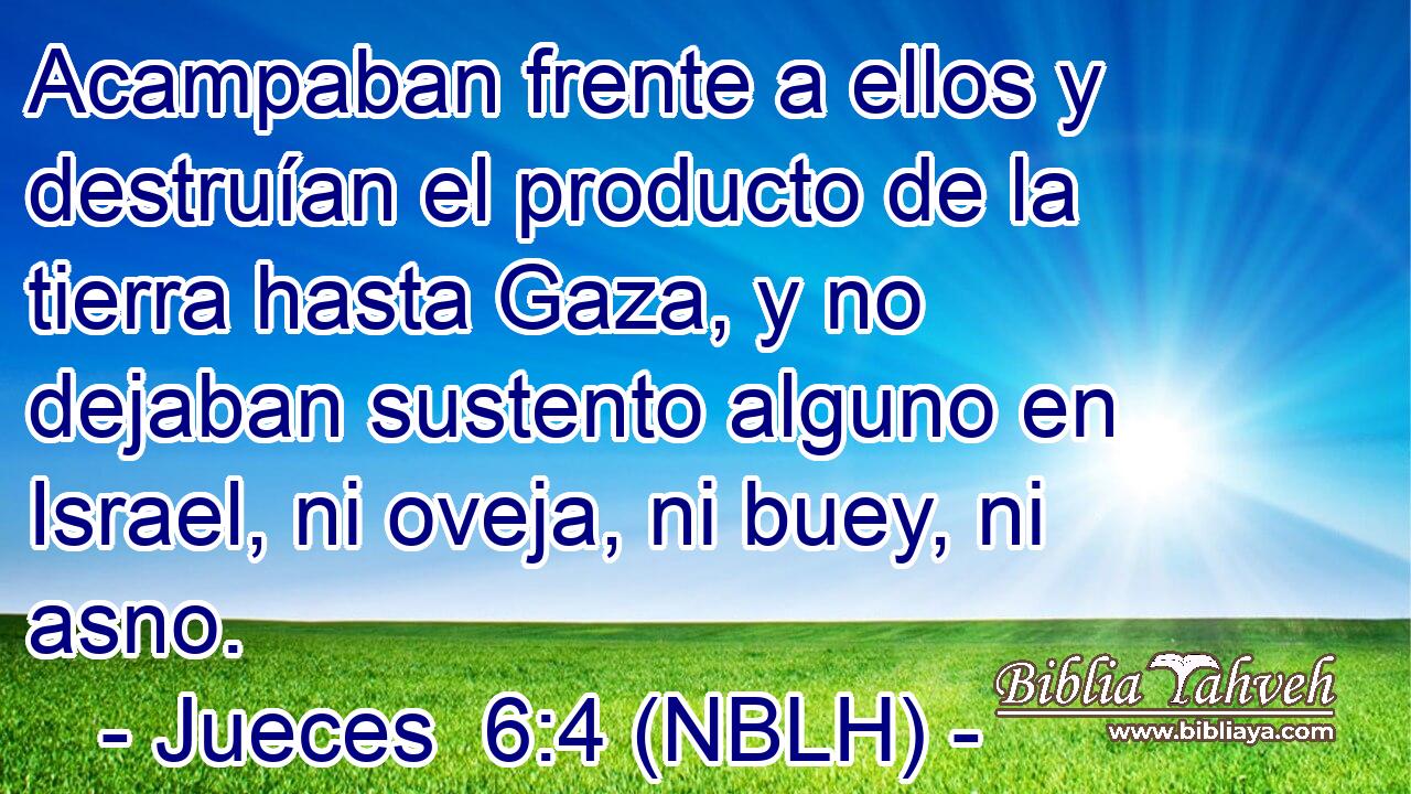  Acampaban frente a ellos y destruían el producto de la tierra hasta Gaza, y no dejaban sustento alguno en Israel, ni oveja, ni buey, ni asno. 
