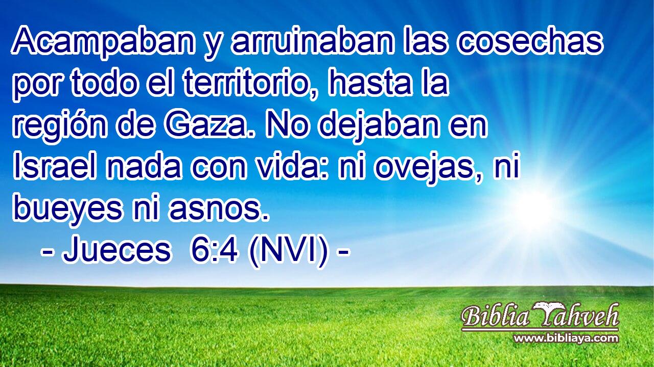  Acampaban y arruinaban las cosechas por todo el territorio, hasta la región de Gaza. No dejaban en Israel nada con vida: ni ovejas, ni bueyes ni asnos. 