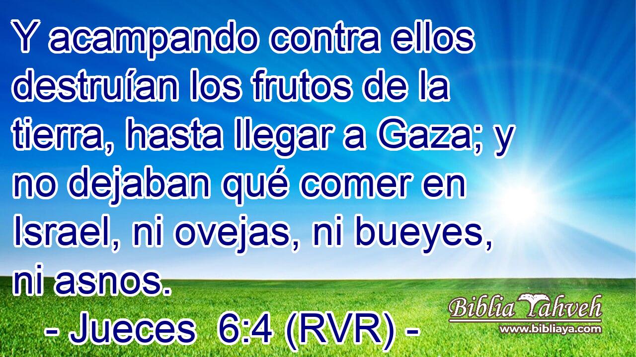 Y acampando contra ellos destruían los frutos de la tierra, hasta llegar a Gaza; y no dejaban qué comer en Israel, ni ovejas, ni bueyes, ni asnos.