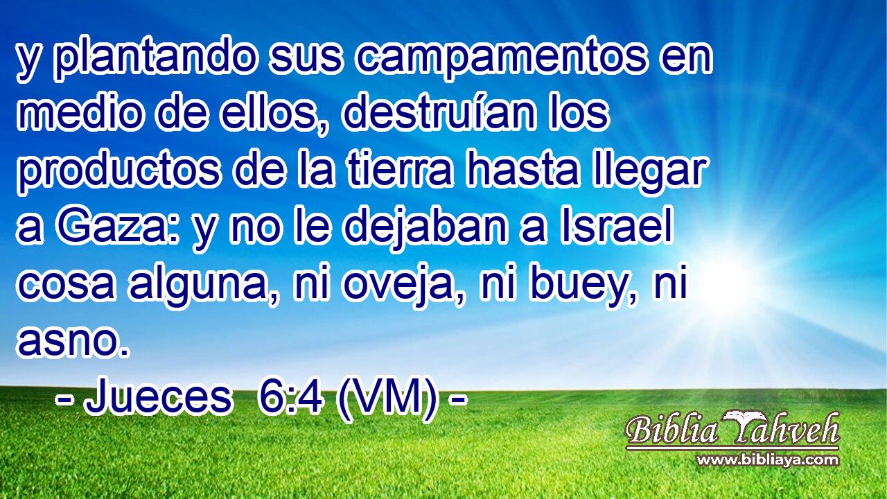  y plantando sus campamentos en medio de ellos, destruían los productos de la tierra hasta llegar a Gaza: y no le dejaban a Israel cosa alguna, ni oveja, ni buey, ni asno. 