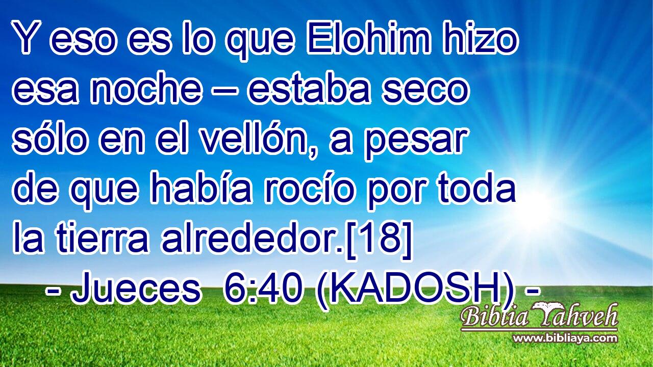  Y eso es lo que Elohim hizo esa noche – estaba seco sólo en el vellón, a pesar de que había rocío por toda la tierra alrededor.[18] 