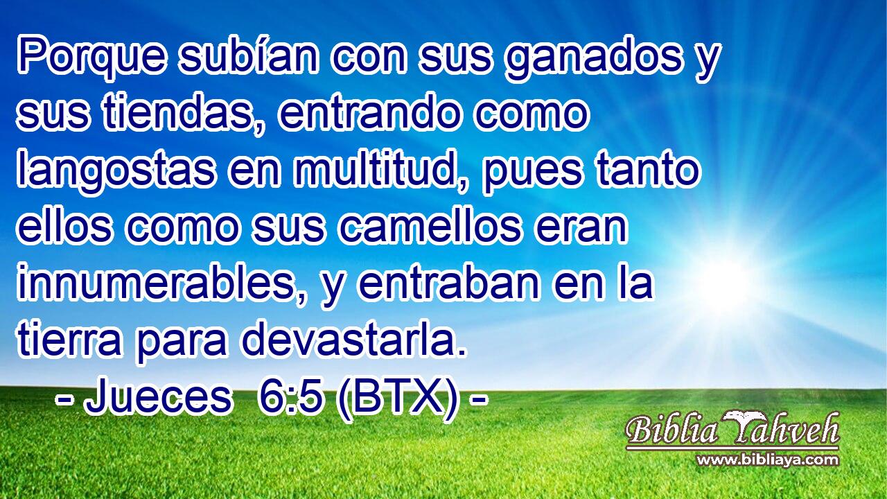 Porque subían con sus ganados y sus tiendas, entrando como langostas en multitud, pues tanto ellos como sus camellos eran innumerables, y entraban en la tierra para devastarla.