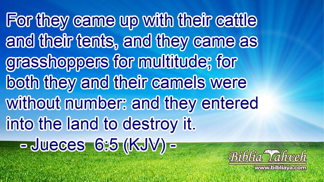 For they came up with their cattle and their tents, and they came as grasshoppers for multitude; for both they and their camels were without number: and they entered into the land to destroy it.