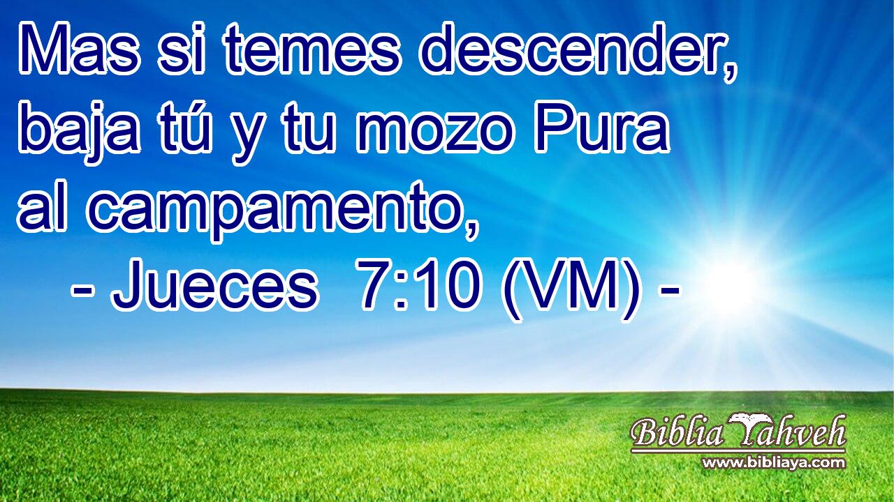  Mas si temes descender, baja tú y tu mozo Pura al campamento, 