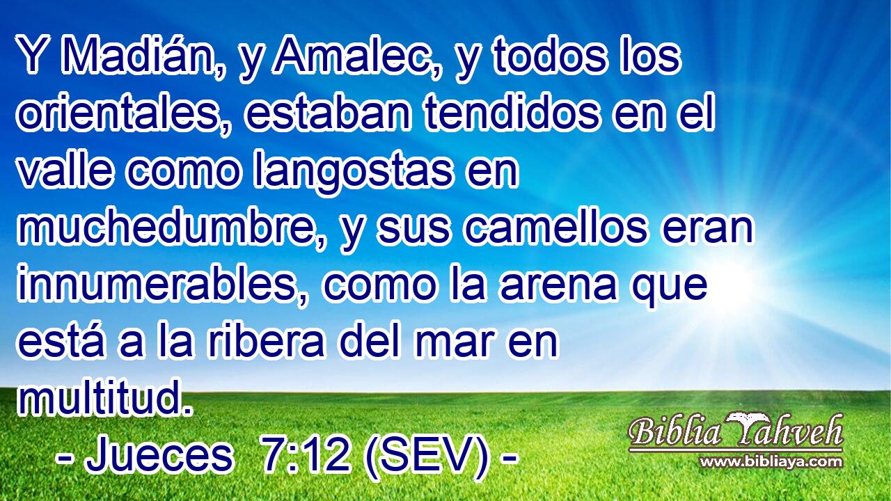 Y Madián, y Amalec, y todos los orientales, estaban tendidos en el valle como langostas en muchedumbre, y sus camellos eran innumerables, como la arena que está a la ribera del mar en multitud.