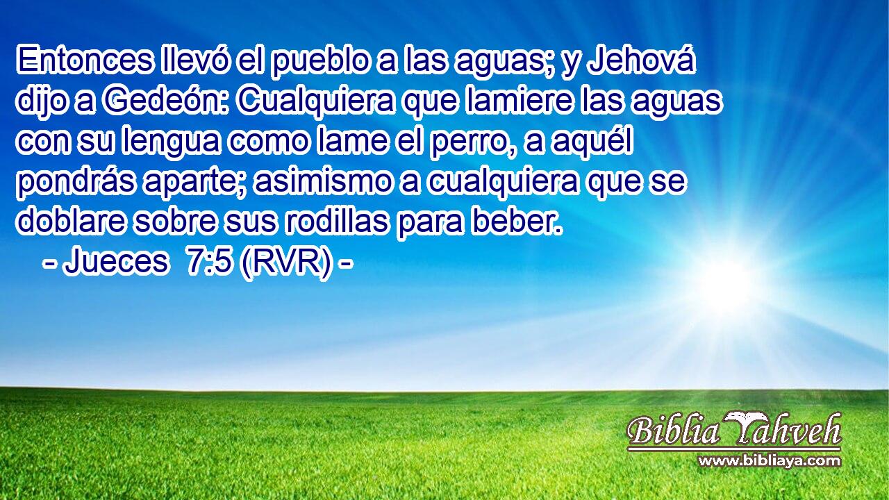 Entonces llevó el pueblo a las aguas; y Jehová dijo a Gedeón: Cualquiera que lamiere las aguas con su lengua como lame el perro, a aquél pondrás aparte; asimismo a cualquiera que se doblare sobre sus rodillas para beber.