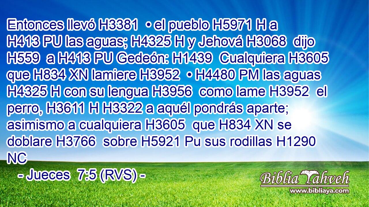 Entonces llevó H3381  • el pueblo H5971 H a H413 PU las aguas; H4325 H y Jehová H3068  dijo H559  a H413 PU Gedeón: H1439  Cualquiera H3605  que H834 XN lamiere H3952  • H4480 PM las aguas H4325 H con su lengua H3956  como lame H3952  el perro, H3611 H H3322 a aquél pondrás aparte; asimismo a cualquiera H3605  que H834 XN se doblare H3766  sobre H5921 Pu sus rodillas H1290 NC