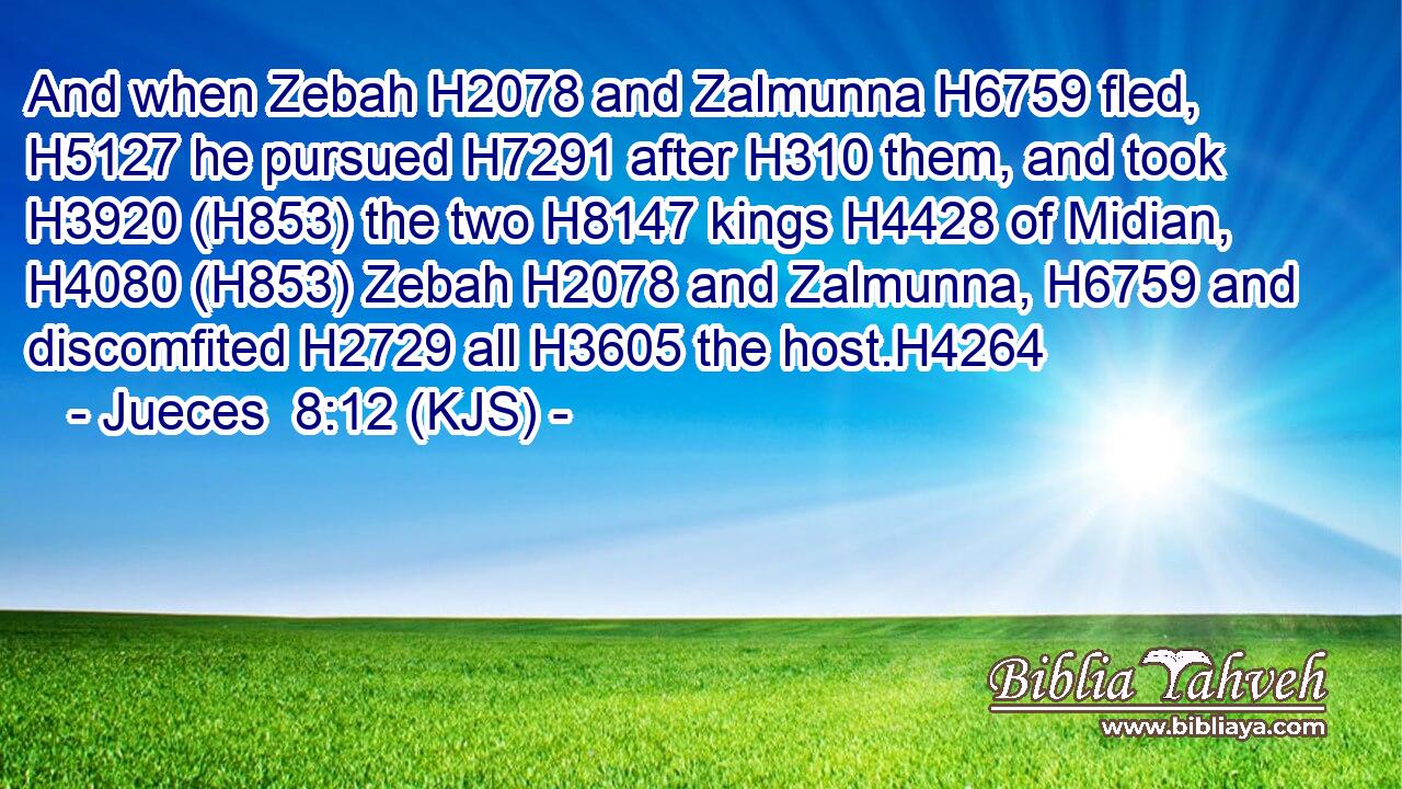 And when Zebah H2078 and Zalmunna H6759 fled, H5127 he pursued H7291 after H310 them, and took H3920 (H853) the two H8147 kings H4428 of Midian, H4080 (H853) Zebah H2078 and Zalmunna, H6759 and discomfited H2729 all H3605 the host.H4264