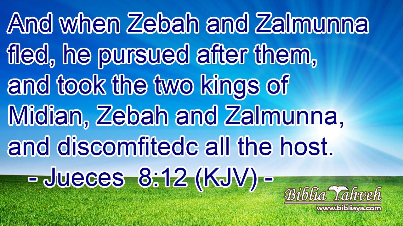 And when Zebah and Zalmunna fled, he pursued after them, and took the two kings of Midian, Zebah and Zalmunna, and discomfitedc all the host.