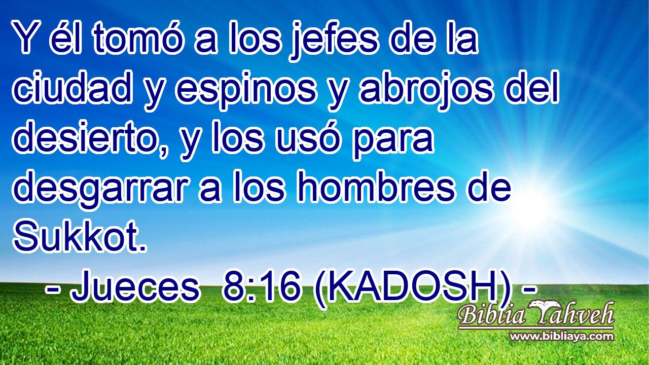  Y él tomó a los jefes de la ciudad y espinos y abrojos del desierto, y los usó para desgarrar a los hombres de Sukkot. 