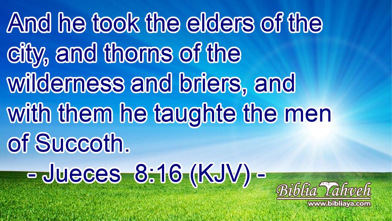 And he took the elders of the city, and thorns of the wilderness and briers, and with them he taughte the men of Succoth.