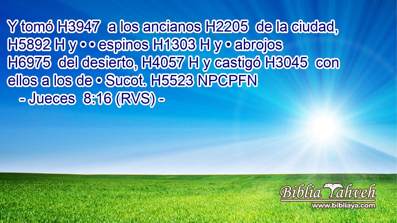 Y tomó H3947  a los ancianos H2205  de la ciudad, H5892 H y • • espinos H1303 H y • abrojos H6975  del desierto, H4057 H y castigó H3045  con ellos a los de • Sucot. H5523 NPCPFN 