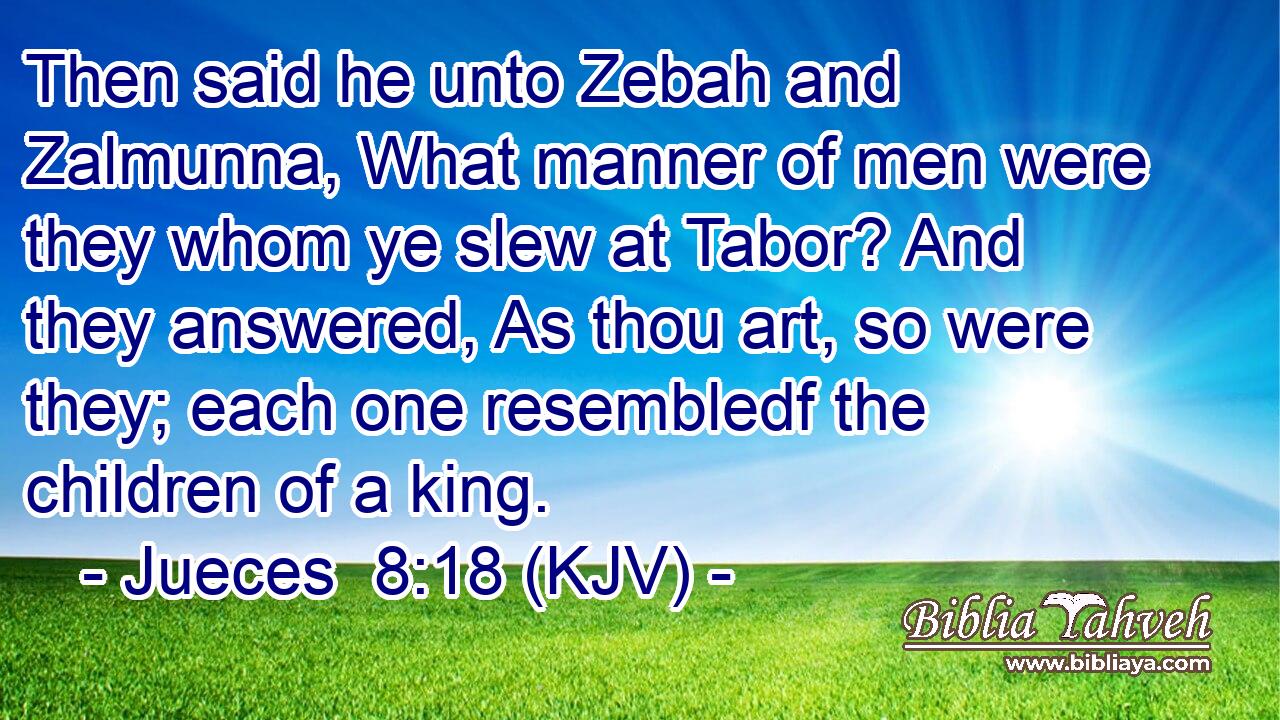 Then said he unto Zebah and Zalmunna, What manner of men were they whom ye slew at Tabor? And they answered, As thou art, so were they; each one resembledf the children of a king.