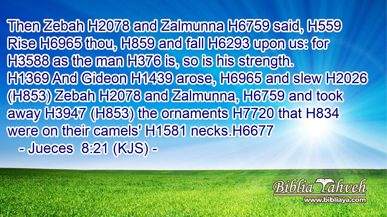 Then Zebah H2078 and Zalmunna H6759 said, H559 Rise H6965 thou, H859 and fall H6293 upon us: for H3588 as the man H376 is, so is his strength. H1369 And Gideon H1439 arose, H6965 and slew H2026 (H853) Zebah H2078 and Zalmunna, H6759 and took away H3947 (H853) the ornaments H7720 that H834 were on their camels' H1581 necks.H6677