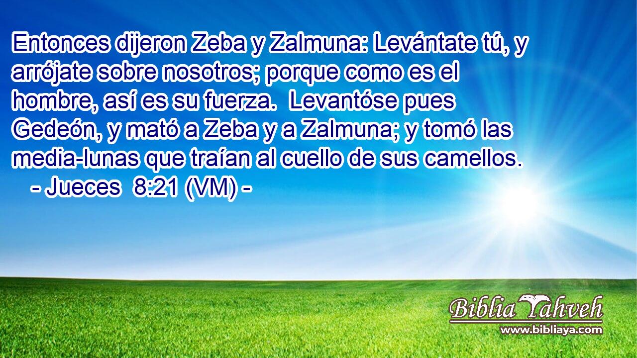  Entonces dijeron Zeba y Zalmuna: Levántate tú, y arrójate sobre nosotros; porque como es el hombre, así es su fuerza.  Levantóse pues Gedeón, y mató a Zeba y a Zalmuna; y tomó las media-lunas que traían al cuello de sus camellos. 