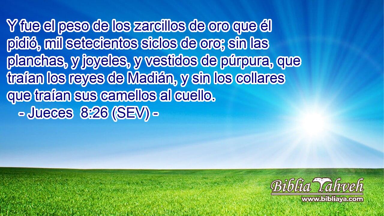 Y fue el peso de los zarcillos de oro que él pidió, mil setecientos siclos de oro; sin las planchas, y joyeles, y vestidos de púrpura, que traían los reyes de Madián, y sin los collares que traían sus camellos al cuello.