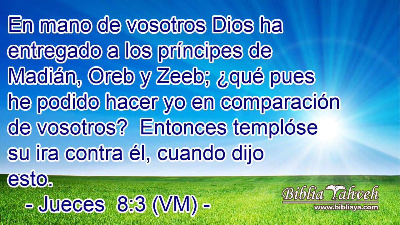  En mano de vosotros Dios ha entregado a los príncipes de Madián, Oreb y Zeeb; ¿qué pues he podido hacer yo en comparación de vosotros?  Entonces templóse su ira contra él, cuando dijo esto. 