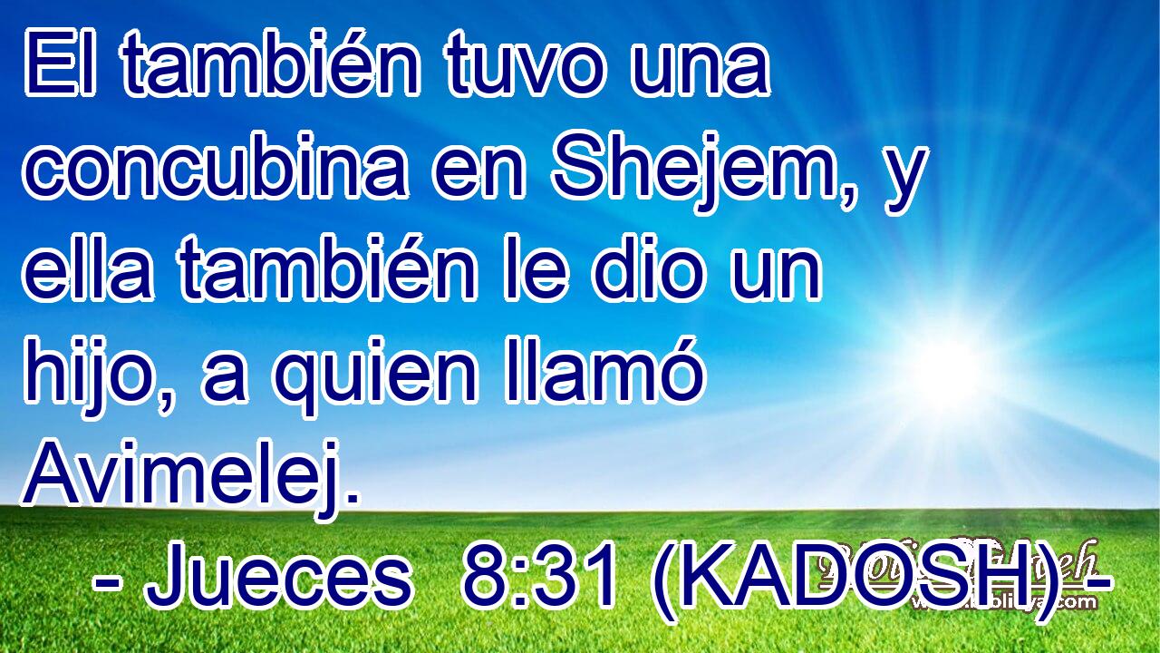  El también tuvo una concubina en Shejem, y ella también le dio un hijo, a quien llamó Avimelej. 