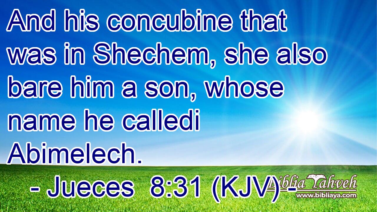 And his concubine that was in Shechem, she also bare him a son, whose name he calledi Abimelech.