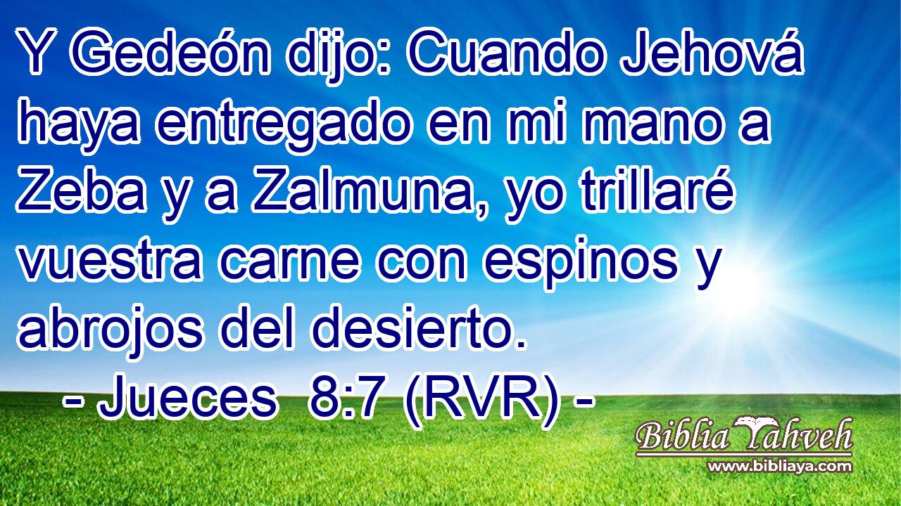 Y Gedeón dijo: Cuando Jehová haya entregado en mi mano a Zeba y a Zalmuna, yo trillaré vuestra carne con espinos y abrojos del desierto.