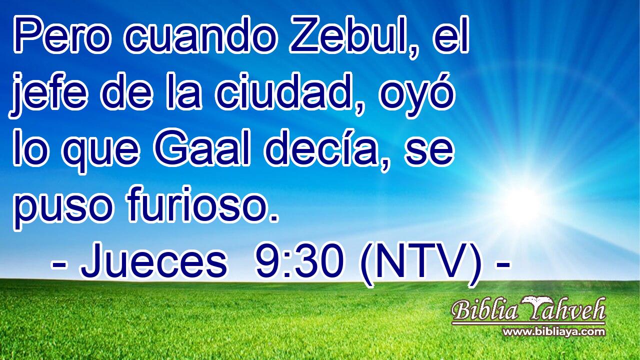 Pero cuando Zebul, el jefe de la ciudad, oyó lo que Gaal decía, se puso furioso.