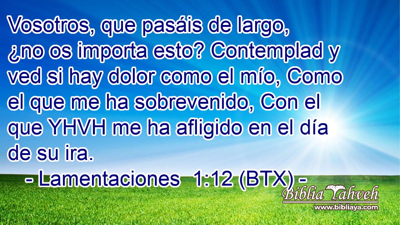 Vosotros, que pasáis de largo, ¿no os importa esto? Contemplad y ved si hay dolor como el mío, Como el que me ha sobrevenido, Con el que YHVH me ha afligido en el día de su ira.