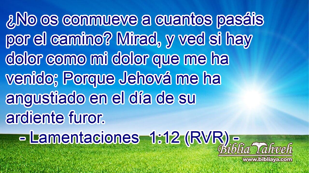 ¿No os conmueve a cuantos pasáis por el camino? Mirad, y ved si hay dolor como mi dolor que me ha venido; Porque Jehová me ha angustiado en el día de su ardiente furor.