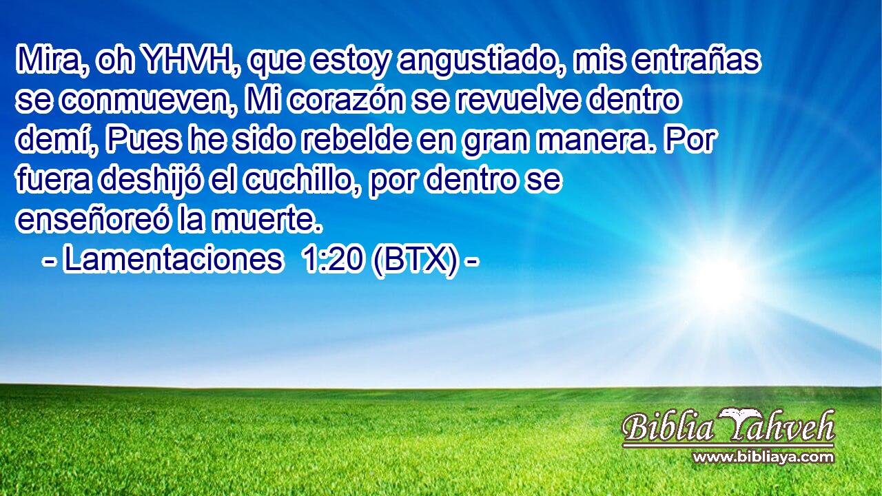 Mira, oh YHVH, que estoy angustiado, mis entrañas se conmueven, Mi corazón se revuelve dentro demí, Pues he sido rebelde en gran manera. Por fuera deshijó el cuchillo, por dentro se enseñoreó la muerte.