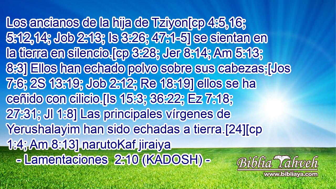  Los ancianos de la hija de Tziyon[cp 4:5,16; 5:12,14; Job 2:13; Is 3:26; 47:1-5] se sientan en la tierra en silencio.[cp 3:28; Jer 8:14; Am 5:13; 8:3] Ellos han echado polvo sobre sus cabezas;[Jos 7:6; 2S 13:19; Job 2:12; Re 18:19] ellos se ha ceñido con cilicio.[Is 15:3; 36:22; Ez 7:18; 27:31; Jl 1:8] Las principales vírgenes de Yerushalayim han sido echadas a tierra.[24][cp 1:4; Am 8:13] narutoKaf jiraiya 