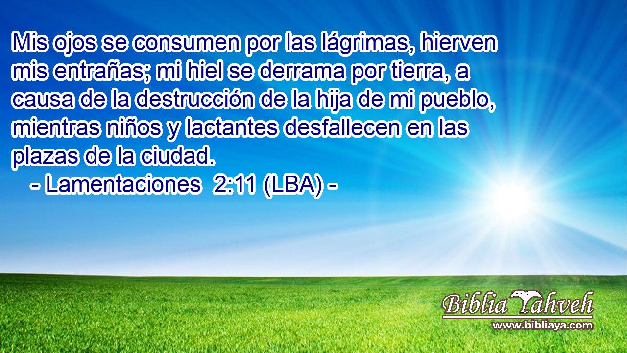 Mis ojos se consumen por las lágrimas, hierven mis entrañas; mi hiel se derrama por tierra, a causa de la destrucción de la hija de mi pueblo, mientras niños y lactantes desfallecen en las plazas de la ciudad.