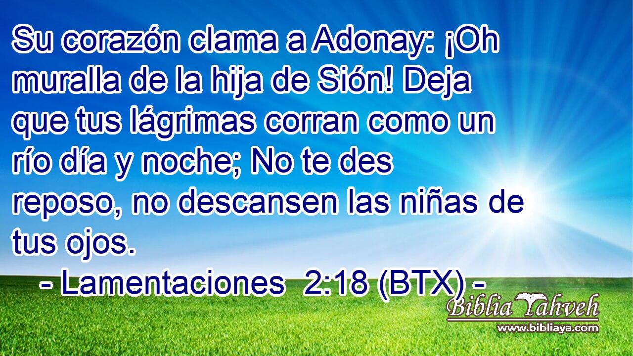 Su corazón clama a Adonay: ¡Oh muralla de la hija de Sión! Deja que tus lágrimas corran como un río día y noche; No te des reposo, no descansen las niñas de tus ojos.