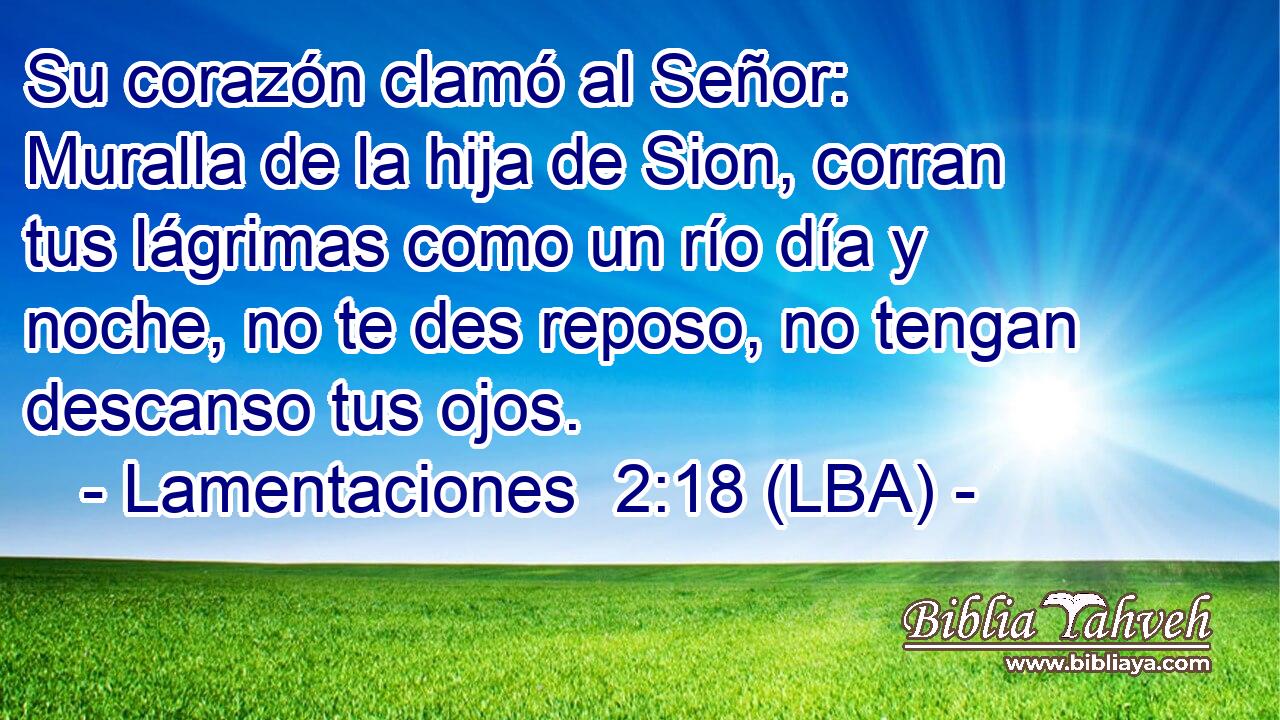 Su corazón clamó al Señor: Muralla de la hija de Sion, corran tus lágrimas como un río día y noche, no te des reposo, no tengan descanso tus ojos.