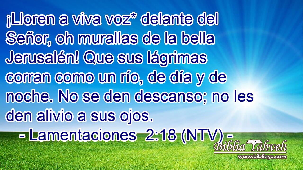 ¡Lloren a viva voz* delante del Señor, oh murallas de la bella Jerusalén! Que sus lágrimas corran como un río, de día y de noche. No se den descanso; no les den alivio a sus ojos.