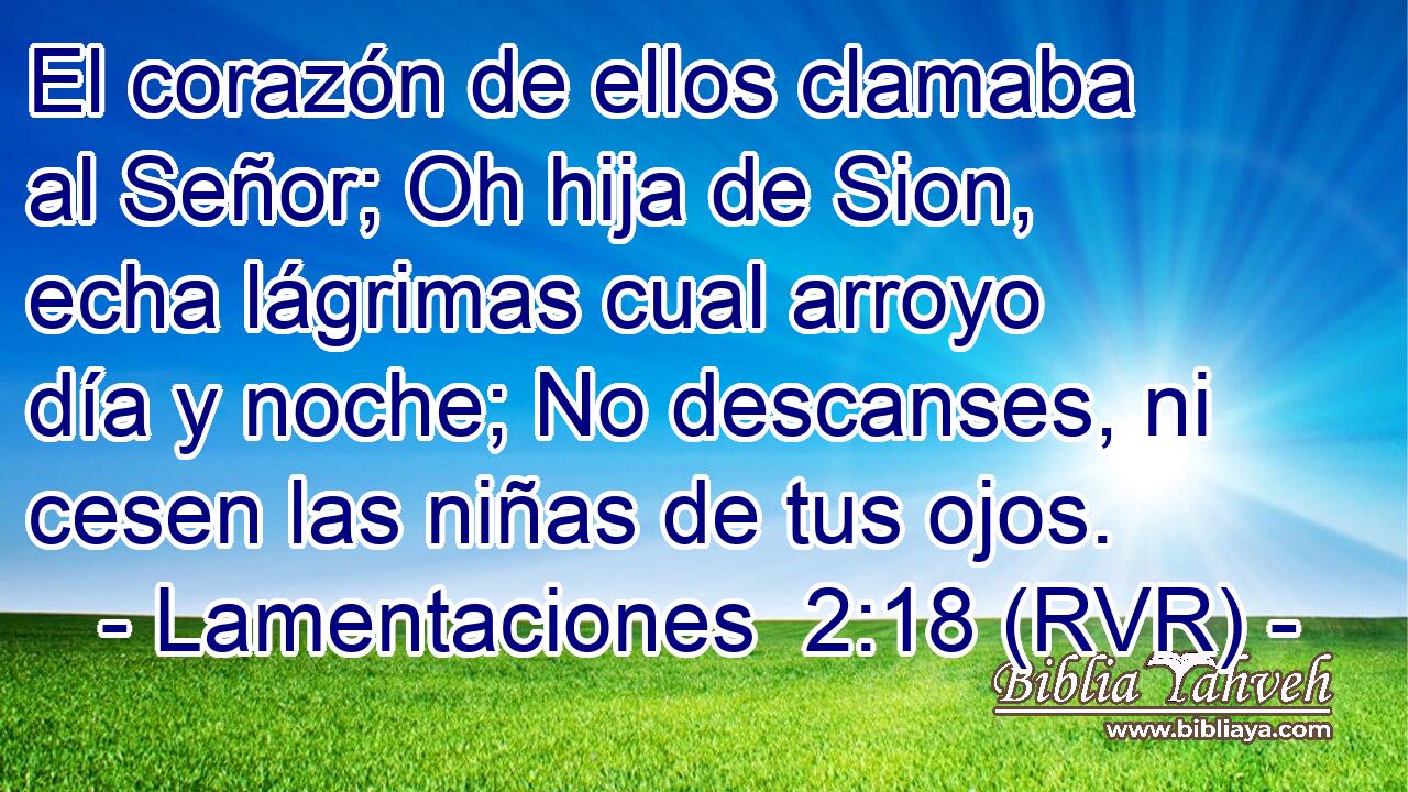 El corazón de ellos clamaba al Señor; Oh hija de Sion, echa lágrimas cual arroyo día y noche; No descanses, ni cesen las niñas de tus ojos.