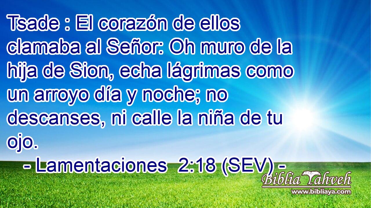 Tsade : El corazón de ellos clamaba al Señor: Oh muro de la hija de Sion, echa lágrimas como un arroyo día y noche; no descanses, ni calle la niña de tu ojo.