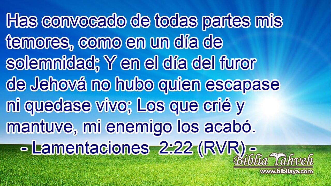 Has convocado de todas partes mis temores, como en un día de solemnidad; Y en el día del furor de Jehová no hubo quien escapase ni quedase vivo; Los que crié y mantuve, mi enemigo los acabó.