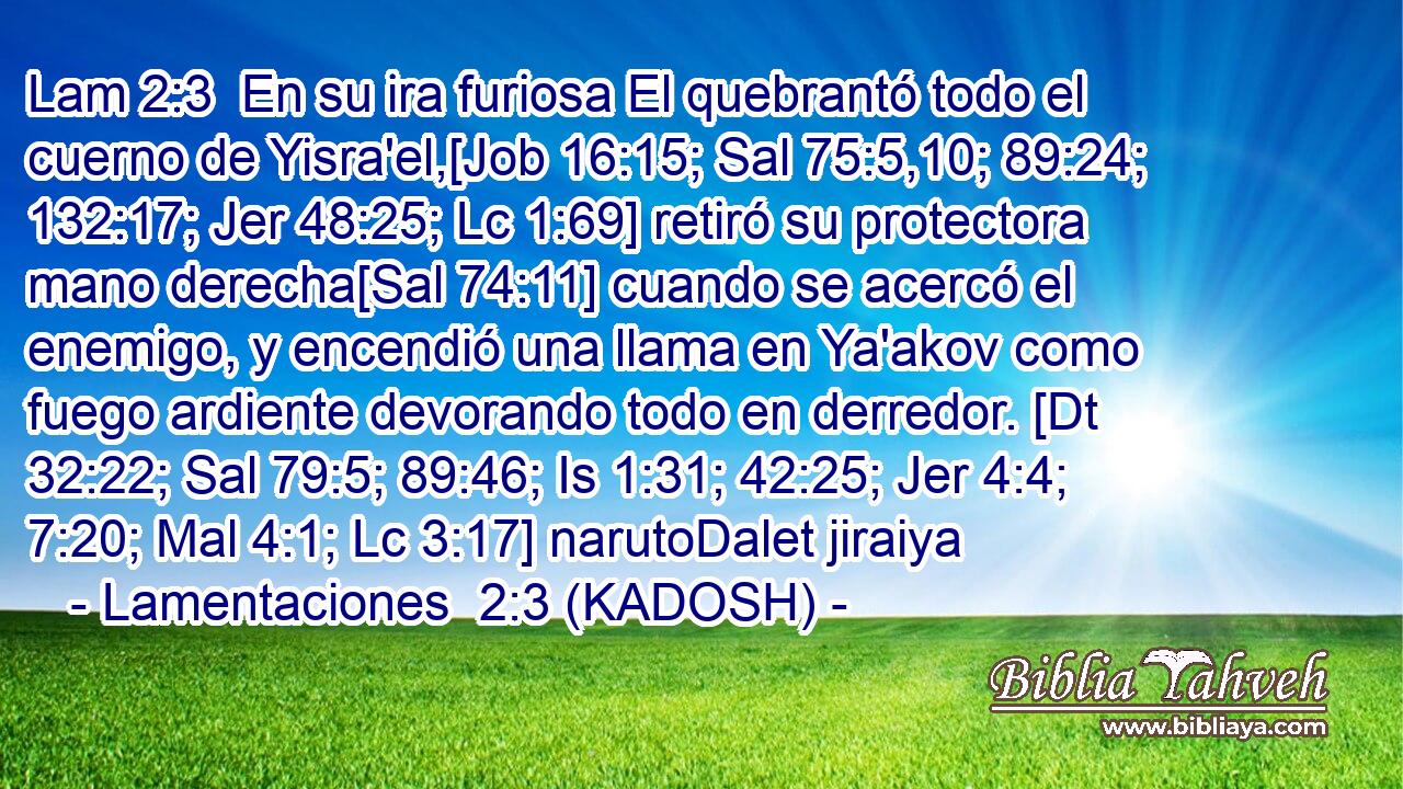  En su ira furiosa El quebrantó todo el cuerno de Yisra'el,[Job 16:15; Sal 75:5,10; 89:24; 132:17; Jer 48:25; Lc 1:69] retiró su protectora mano derecha[Sal 74:11] cuando se acercó el enemigo, y encendió una llama en Ya'akov como fuego ardiente devorando todo en derredor. [Dt 32:22; Sal 79:5; 89:46; Is 1:31; 42:25; Jer 4:4; 7:20; Mal 4:1; Lc 3:17] narutoDalet jiraiya 