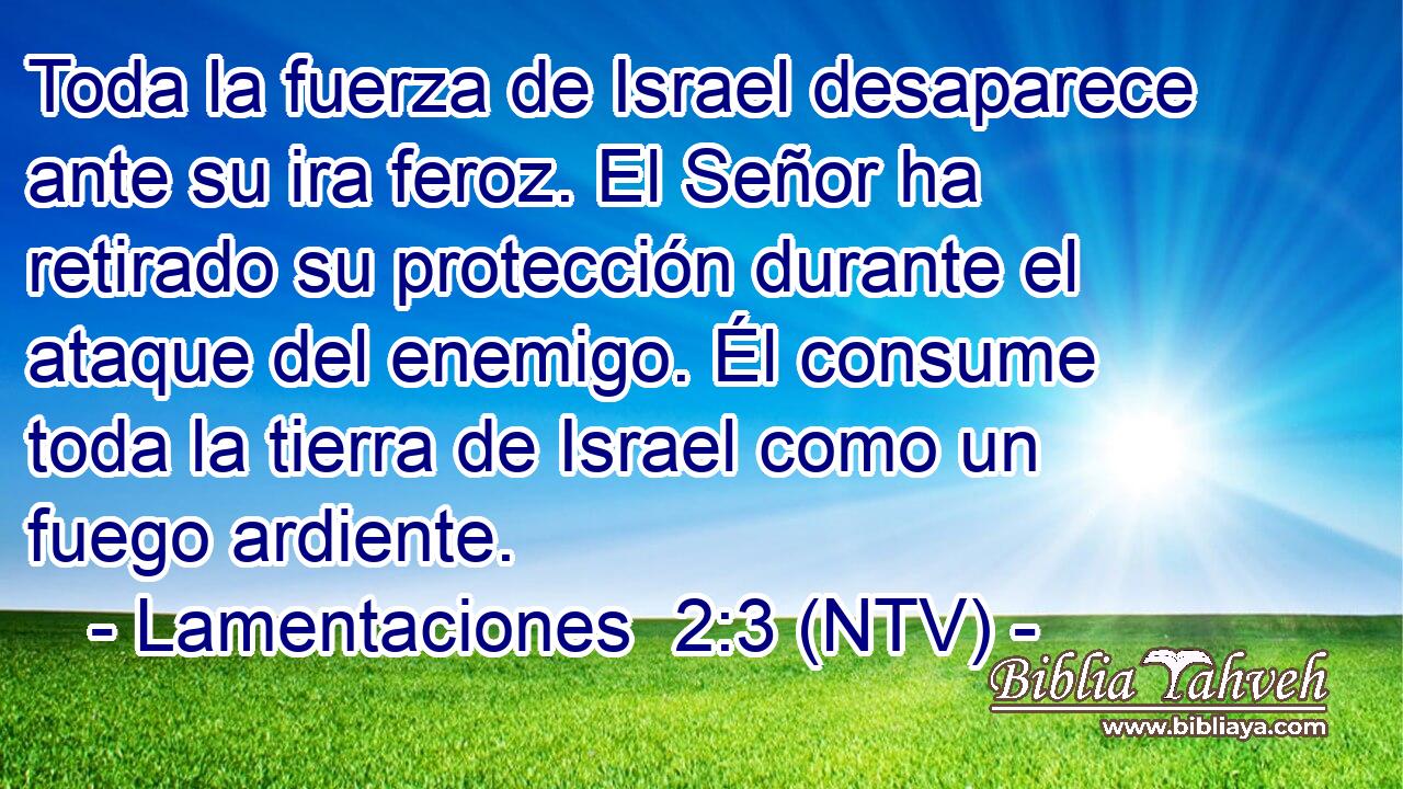 Toda la fuerza de Israel desaparece ante su ira feroz. El Señor ha retirado su protección durante el ataque del enemigo. Él consume toda la tierra de Israel como un fuego ardiente.
