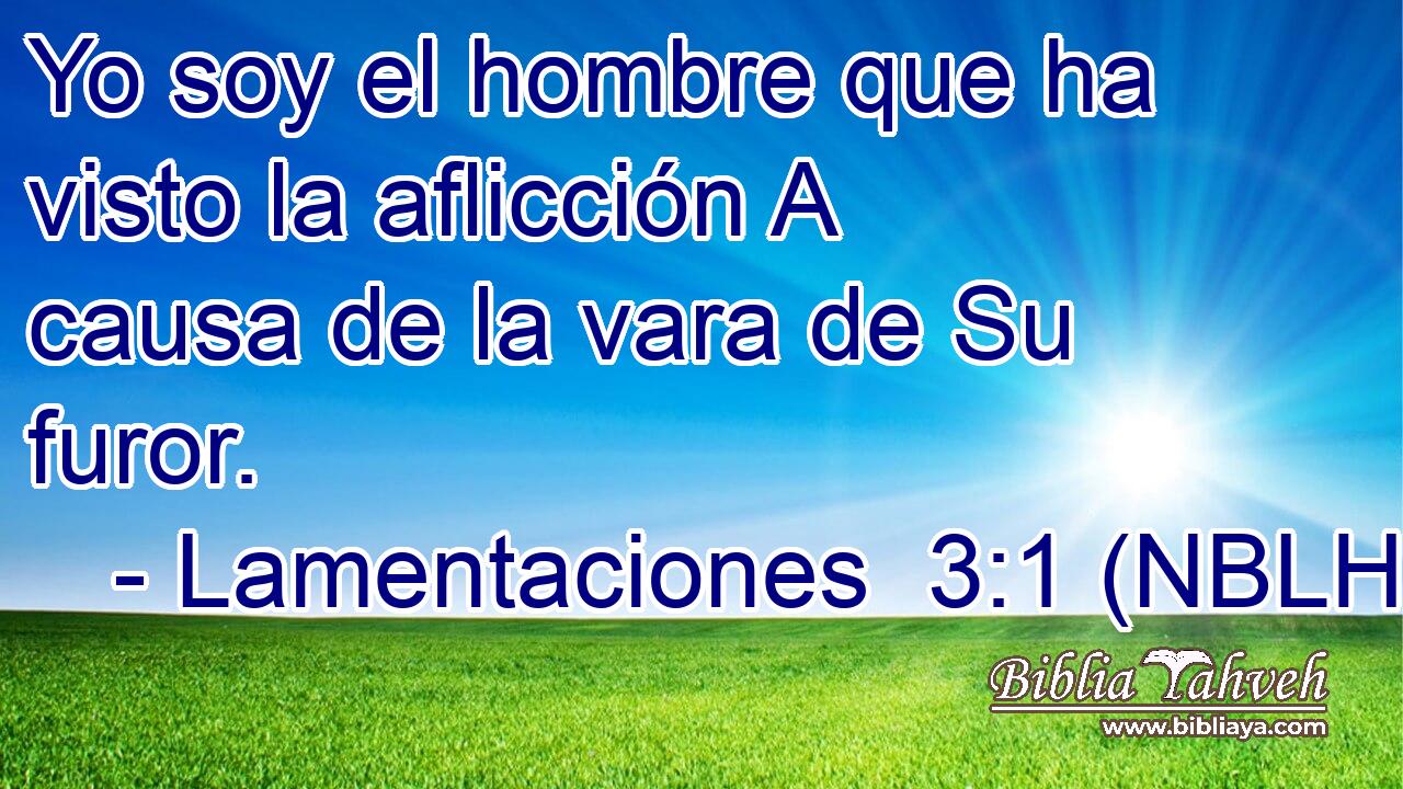  Yo soy el hombre que ha visto la aflicción A causa de la vara de Su furor. 