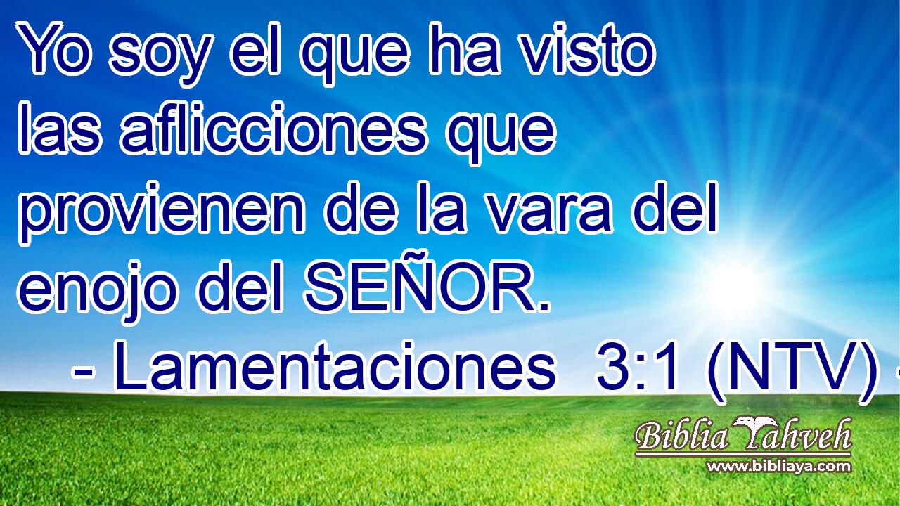 Yo soy el que ha visto las aflicciones que provienen de la vara del enojo del SEÑOR.