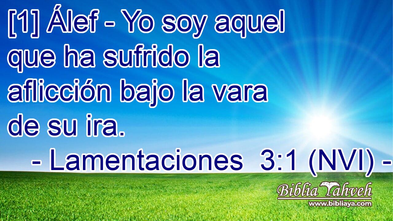  [1] Álef - Yo soy aquel que ha sufrido la aflicción bajo la vara de su ira. 