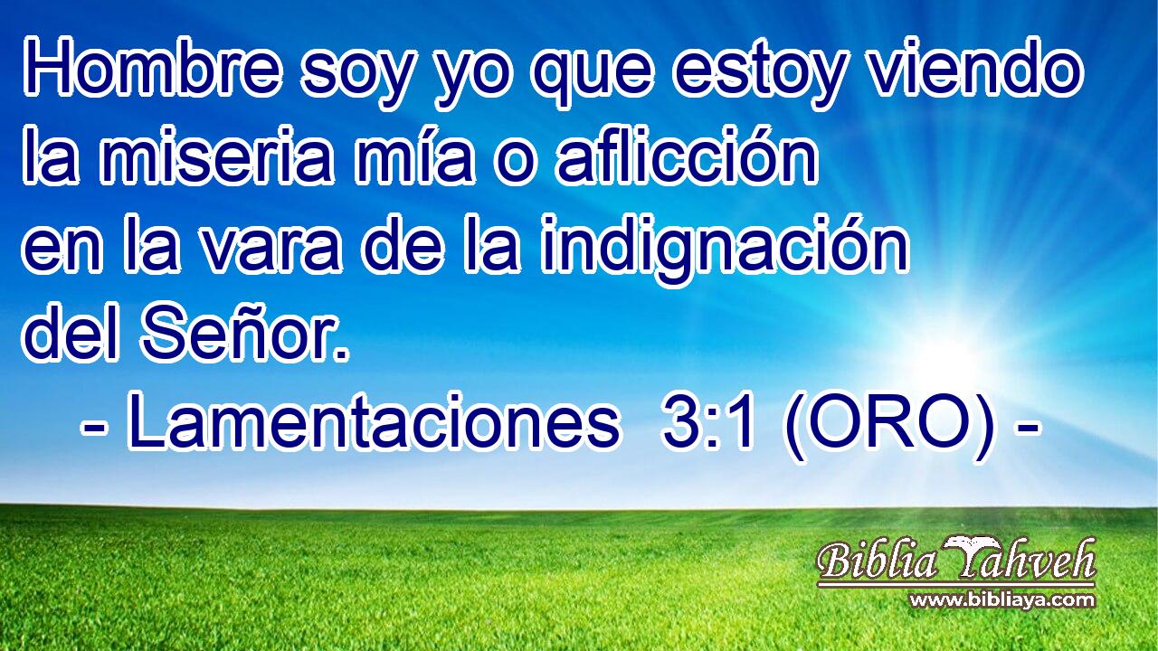  Hombre soy yo que estoy viendo la miseria mía o aflicción en la vara de la indignación del Señor. 