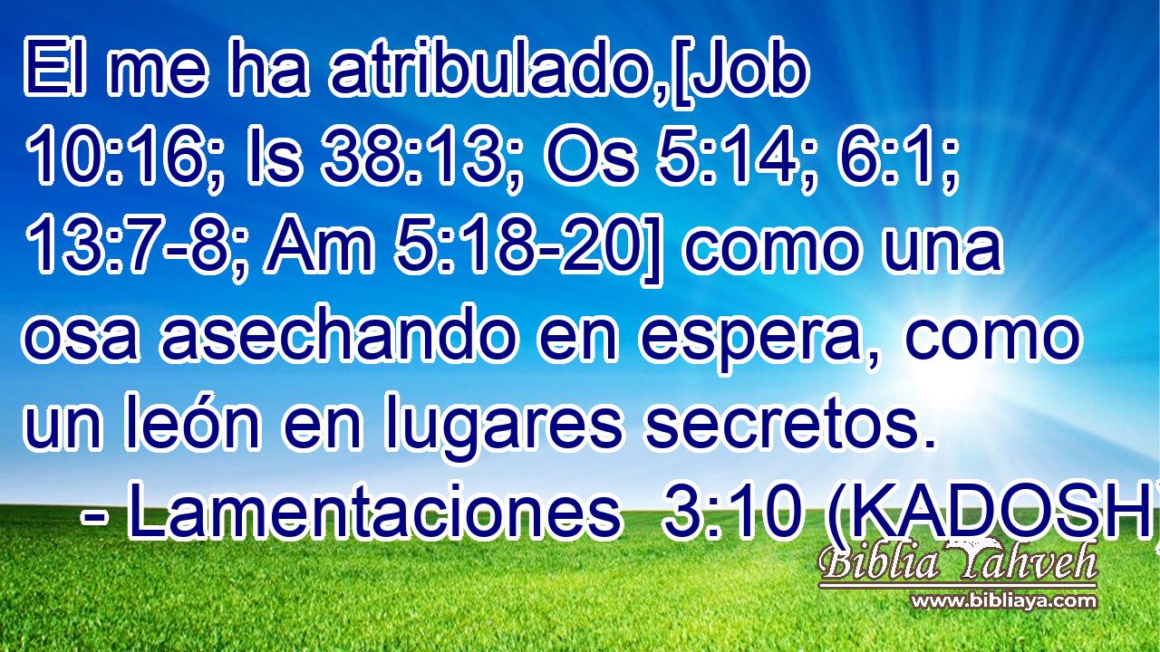  El me ha atribulado,[Job 10:16; Is 38:13; Os 5:14; 6:1; 13:7-8; Am 5:18-20] como una osa asechando en espera, como un león en lugares secretos. 