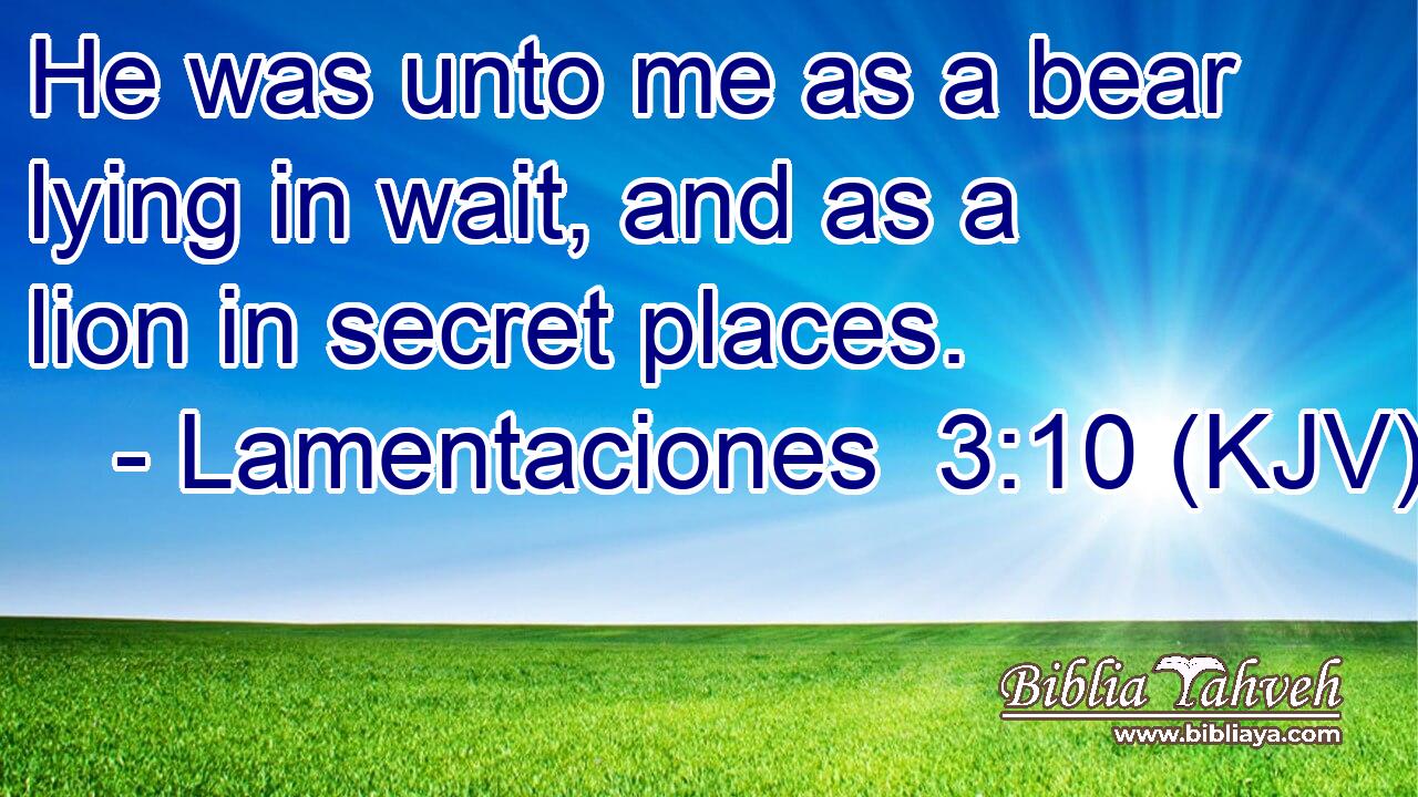 He was unto me as a bear lying in wait, and as a lion in secret places.