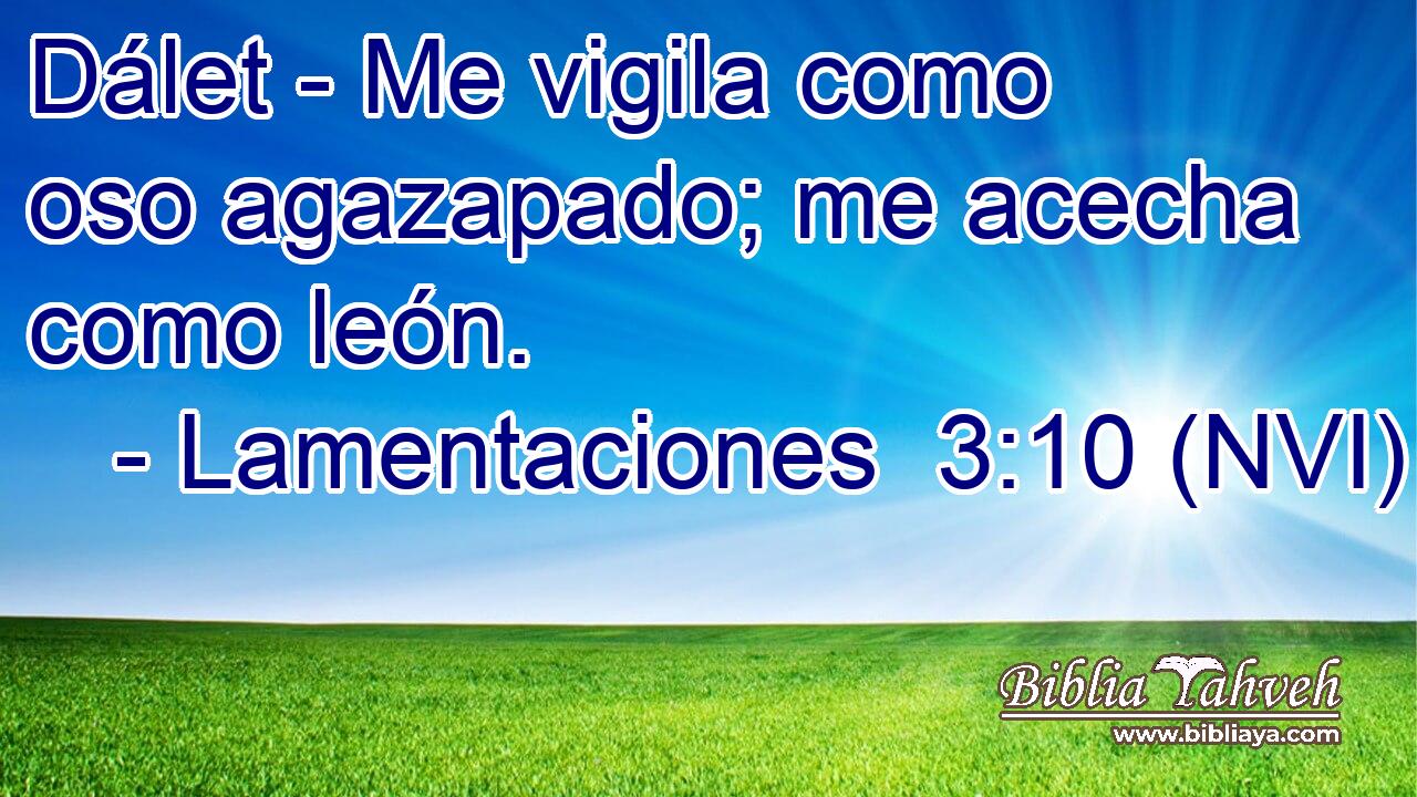  Dálet - Me vigila como oso agazapado; me acecha como león. 