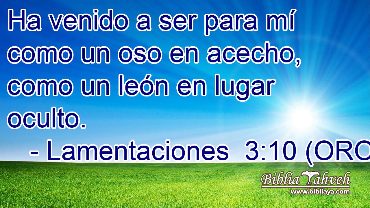  Ha venido a ser para mí como un oso en acecho, como un león en lugar oculto. 